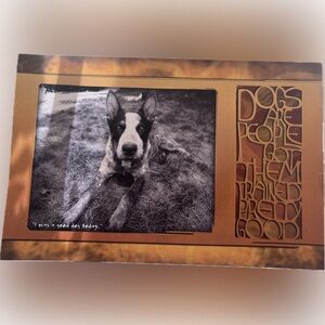 Widespread Panic - Dog-Themed Wall Art with Inspirational Quote